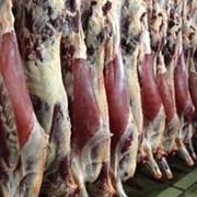 Охлажденная мясная продукция (говядина,баранина) фотография