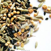 Семена лекарственных растений. фото