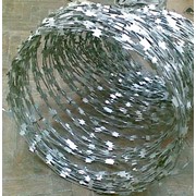 Спиральное ограждение из армированной скрученой колючей ленты АСКЛ (аналог Егозы) фото