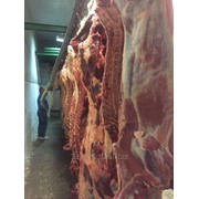Мясо коровы 95+ охлажденное, 1-я категория фото