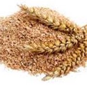 Отруби, отруби пшеничные оптом по Казахстану фото