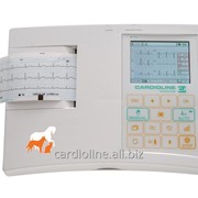 Электрокардиограф 3-канальный ветеринарный CARDIOLINE ar600view bt VET фото
