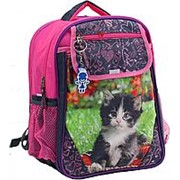 Школьный рюкзак 'Отличник' 0058070 розовый с синим и зеленым фото