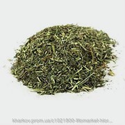 Галега лекарственная (Galega officinalis, Козлятник лекарственный) трава 100 грамм фото