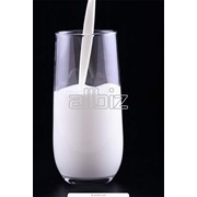 Молоко сырое с фермы от производителя большие объемы качество, продажа сырого молока фото