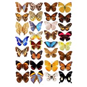 172 “Бабочки“ сахарный лист фото
