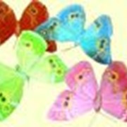 Бабочки на прищепках фото