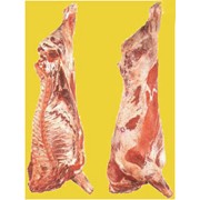 Мясо говядина полутуши 80 кг + фотография