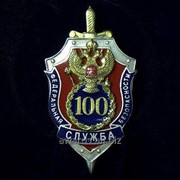 Нагрудный знак “100 лет ФСБ“ фото