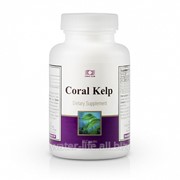 Антиоксидант Корал Келп. Coral Kelp фото