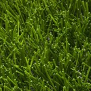 Искусственная трава Limonta фото