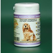 Витаминно-минеральная добавка POLEGEN для собак для повышения иммунитета и улучшения пищеварения фото