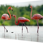 Картина на холсте 40х50 д950 фото