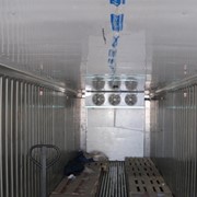 Холодильные камеры для заморозки рыбы