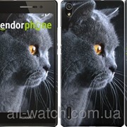 Чехол на Huawei Ascend P7 Красивый кот “3038c-49“ фотография
