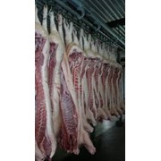 Мясо и субпродукты свиные