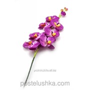 Цветок орхидеи 90 см фотография
