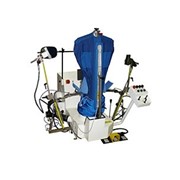 Пароманекены фото