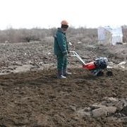 Биорекультивация замазученных почвогрунтов фото