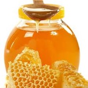 Продукция пчеловодства. фото