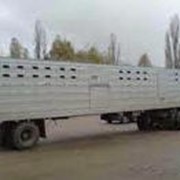 Полуприцепы-скотовозы ОДАЗ-9958 (одноосный) и ОДАЗ-9976 (двухосный), Изготовление, Экспорт, Полуприцепы сельскохозяйственные фото