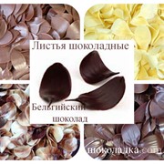 Шоколадные украшения “Листья“, из бельгийского шоколада фото