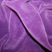 Велюр фиолетовый, ткань, ткани из натуральных и искусственных волокон фотография