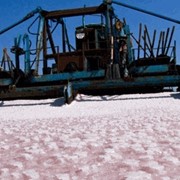 Соль морская для посыпания дорог, Sea salt фотография