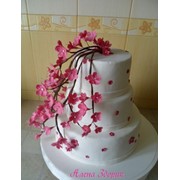 Свадебный торт с веткой сакуры фото