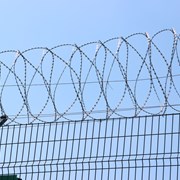 Колючая проволока  фото