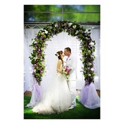 Свадьба — проведение и организация фотография