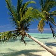 Пляжный тур в Доминикану фото