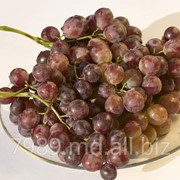 Виноград сорта в Молдове фото