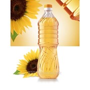 Sunflower oil, refined. Масло подсолнечное рафинированное дезодорированное фото