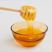 Honey Export