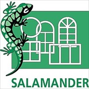 Металлопластиковые окна Salamander фото