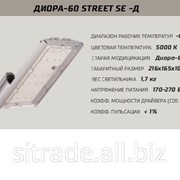 Светильник светодиодный уличный Diora-60 Street SE-Д