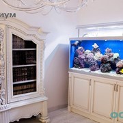Мебель для аквариума алматы фото