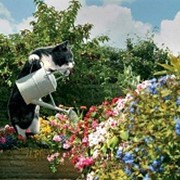 Садовники фото