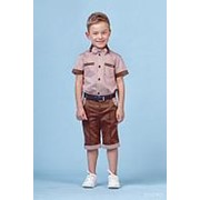 Костюм для мальчика Зиронька 64-8001-6 р.92-122 см коричневый фотография