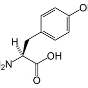 L-Тирозин