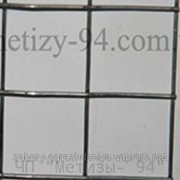 Сетка сварная оцинкованная 25х25х0.8 (цинка до 20 г/м2) фотография