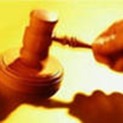 Организация конкурсов и аукционов (торгов) для нужд заказчика. фото