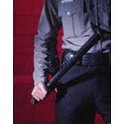 Охранная фирма “Рубин“ оказывает услуги по охране офисов, бизнес центров. фото
