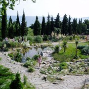 Крым. Бал Хризантем (Никитский сад, Воронцовский дворец, Алупка) фото