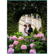 Услуги по обучению и проведению свадеб за рубежом, в Чехии фото