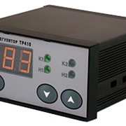 Терморегулятор двухканальный ТР410 фото