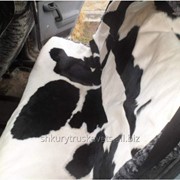 Чехол автомобильный из шкуры коровы, размер 120 см на 130 см, прямоугольный фото