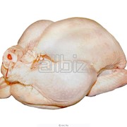 Цыпленок 1,4 кг фото