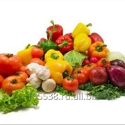Гидрогель для овощных культур